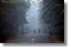 images/Asia/Cambodia/Scenics/Roads/vehicles-on-foggy-tree-lined-road-14.jpg