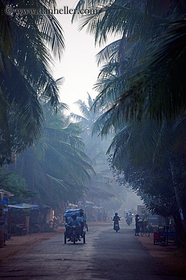vehicles-on-foggy-tree-lined-road-16.jpg