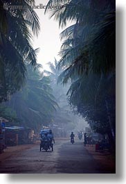 images/Asia/Cambodia/Scenics/Roads/vehicles-on-foggy-tree-lined-road-16.jpg