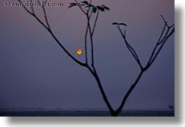 images/Asia/Cambodia/Scenics/Sunset/hazy-sunrise-n-trees-03.jpg