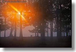 images/Asia/Cambodia/Scenics/Sunset/hazy-sunrise-n-trees-09.jpg
