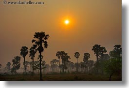 images/Asia/Cambodia/Scenics/Sunset/hazy-sunrise-n-trees-13.jpg