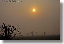 images/Asia/Cambodia/Scenics/Sunset/hazy-sunrise-n-trees-17.jpg