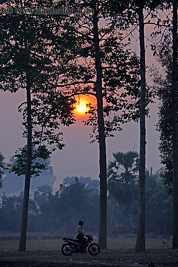 hazy-sunrise-n-trees-19.jpg