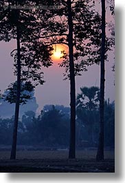 images/Asia/Cambodia/Scenics/Sunset/hazy-sunrise-n-trees-20.jpg
