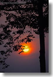 images/Asia/Cambodia/Scenics/Sunset/hazy-sunrise-n-trees-22.jpg