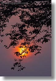 images/Asia/Cambodia/Scenics/Sunset/hazy-sunrise-n-trees-23.jpg