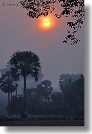 images/Asia/Cambodia/Scenics/Sunset/hazy-sunrise-n-trees-24.jpg