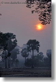 images/Asia/Cambodia/Scenics/Sunset/hazy-sunrise-n-trees-26.jpg