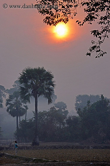 hazy-sunrise-n-trees-28.jpg