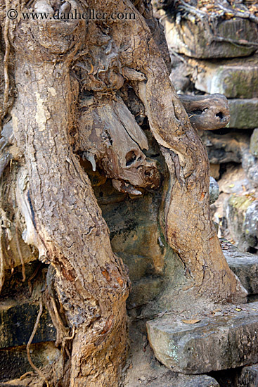 skull-tree-stump.jpg