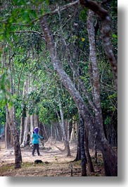images/Asia/Cambodia/Scenics/Trees/trees-n-street-sweepers-1.jpg