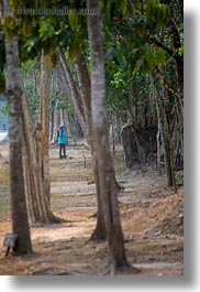images/Asia/Cambodia/Scenics/Trees/trees-n-street-sweepers-3.jpg