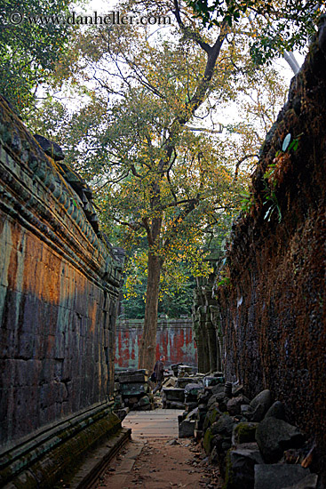 narrow-alley-2.jpg