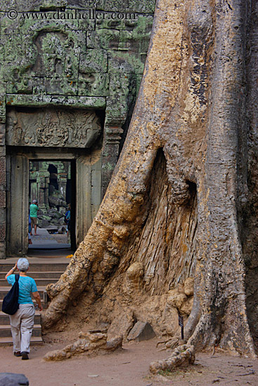 woman-walking-by-big-tree.jpg