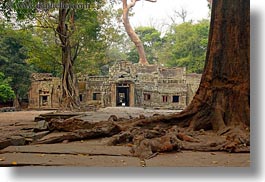 asia, cambodia, entry, gates, horizontal, roots, ta promh, photograph
