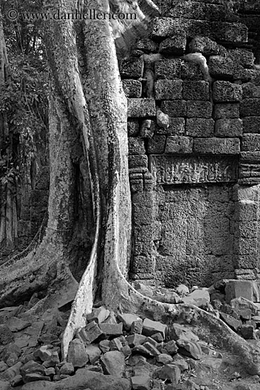 fin-root-on-ruins-2-bw.jpg