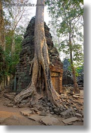 images/Asia/Cambodia/TaPromh/Roots/fin-root-on-ruins-4.jpg