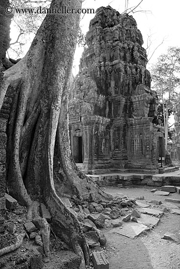 fin-root-on-ruins-5-bw.jpg