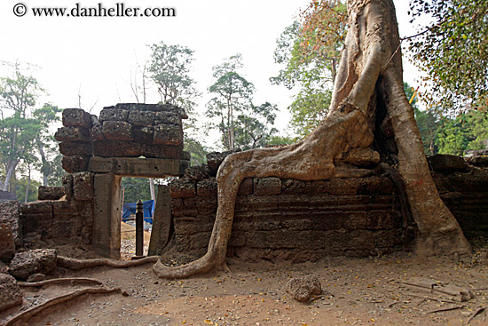 roots-draping-wall-by-doorway-1.jpg