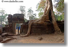 asia, cambodia, doorways, draping, horizontal, roots, ta promh, walls, photograph