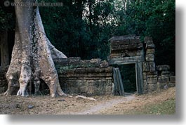 asia, cambodia, doorways, draping, horizontal, roots, ta promh, walls, photograph
