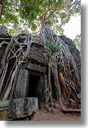 images/Asia/Cambodia/TaPromh/Roots/tree-roots-draping-doorway-09.jpg