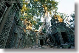 asia, cambodia, doorways, draping, horizontal, roots, ta promh, trees, photograph
