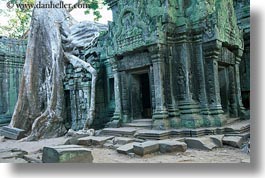 asia, cambodia, draping, horizontal, roots, ta promh, trees, walls, photograph