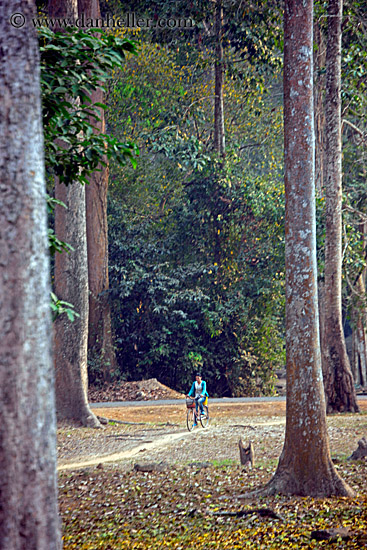 girl-on-bike-among-trees.jpg