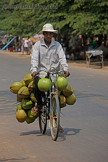 man-on-bike-carrying-coconuts-01.jpg