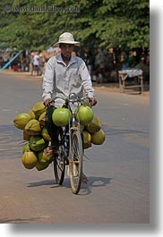 images/Asia/Cambodia/Transportation/man-on-bike-carrying-coconuts-01.jpg