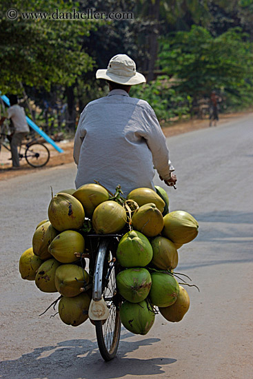 man-on-bike-carrying-coconuts-02.jpg