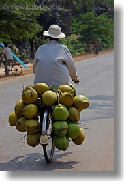 asia, bicycles, cambodia, carrying, coconuts, men, transportation, vertical, photograph