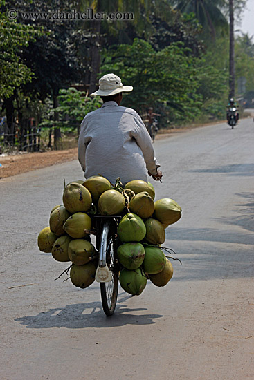 man-on-bike-carrying-coconuts-03.jpg