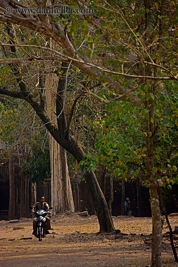 motorcycle-thru-trees.jpg