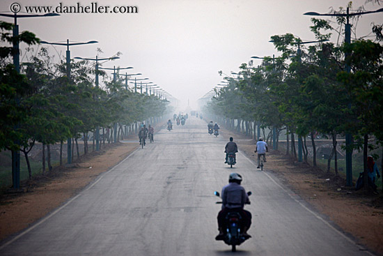 motorcycles-n-tree-lined-hazy-road-01.jpg