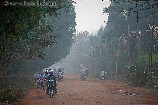 motorcycles-n-tree-lined-hazy-road-02.jpg