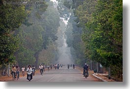 images/Asia/Cambodia/Transportation/motorcycles-n-tree-lined-hazy-road-03.jpg