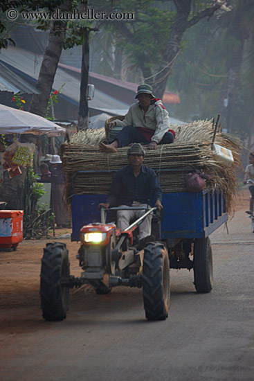 tractor-carrying-bamboo.jpg