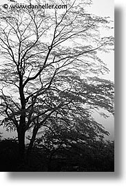 black and white japan scenery black and white japan scenery