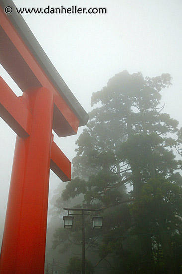 misty-torii-gate-3.jpg