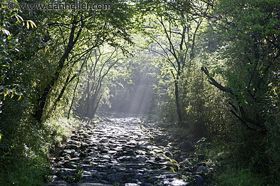 tokaido-road-3.jpg