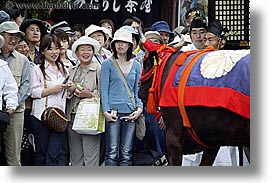 aoi matsuri festival, asia, bulls, horizontal, japan, kyoto, womens, photograph