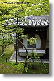 asia, gardens, japan, koto in, kyoto, temples, trees, vertical, zen, photograph