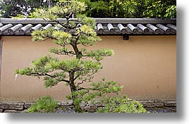 asia, horizontal, japan, koto in, kyoto, likes, trees, zen, photograph