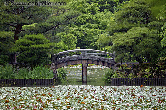 pond-bridge.jpg