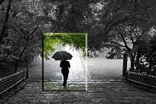 walking-w-umbrella-2a.jpg