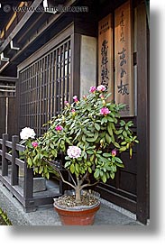 asia, flowers, japan, plants, signs, vertical, photograph