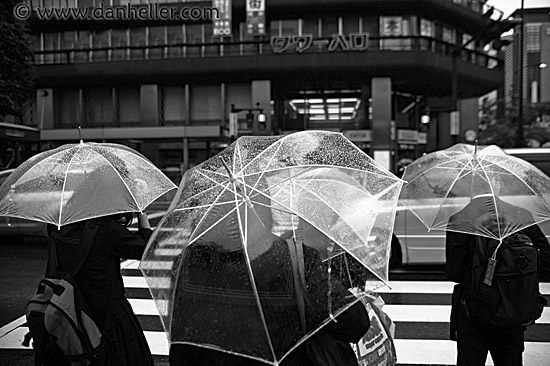 clear-umbrellas-bw.jpg